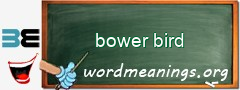 WordMeaning blackboard for bower bird